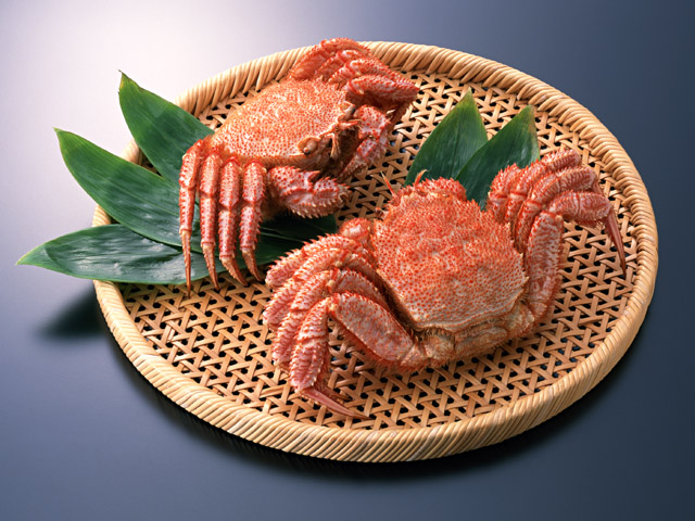 魚がもつ味わいを引き立てる、こだわりの逸品。の写真